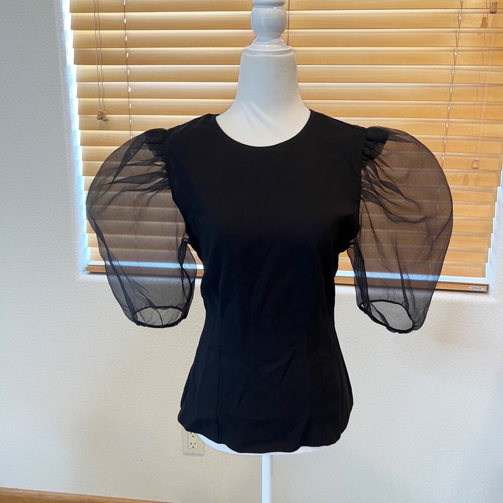Zara Black Organza Sheer Sleeve Structured Top.